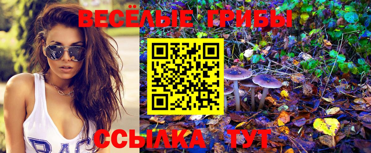 Галлюциногенные грибы мухоморы Сердобск